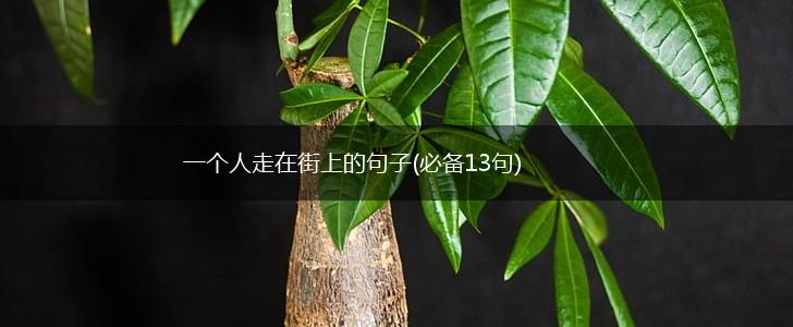 一个人走在街上的句子(必备13句),第1张