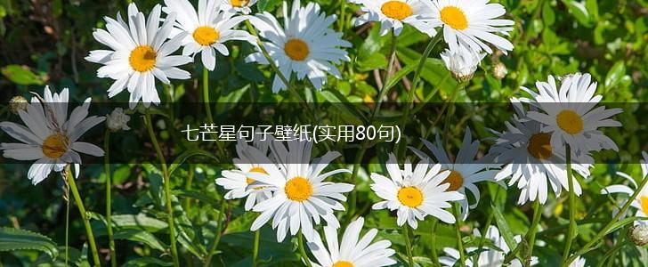 七芒星句子壁纸(实用80句),第1张
