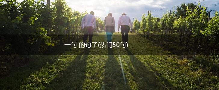 一句 的句子(热门50句),第1张