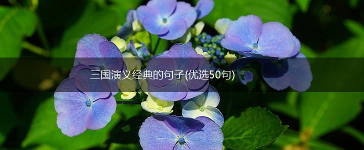 三国演义经典的句子(优选50句),第1张