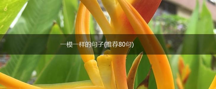 一模一样的句子(推荐80句),第1张