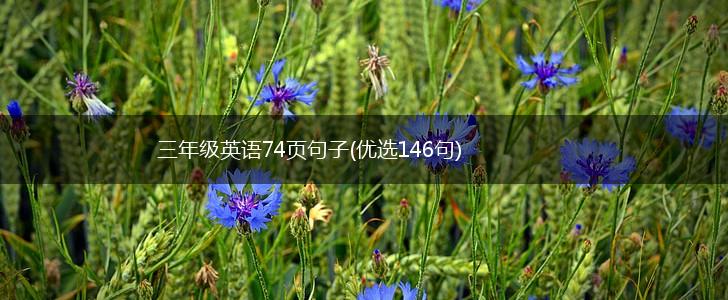 三年级英语74页句子(优选146句),第1张