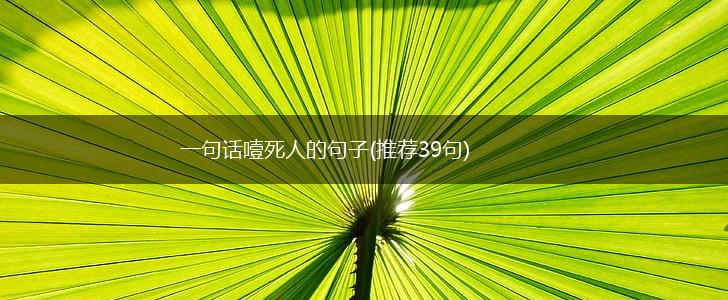 一句话噎死人的句子(推荐39句),第1张