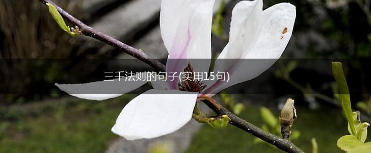 三千法则的句子(实用15句),第1张
