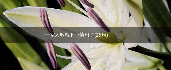 一家人旅游的心情句子(15句),第1张