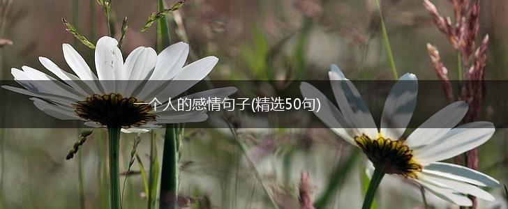一个人的感情句子(精选50句),第1张