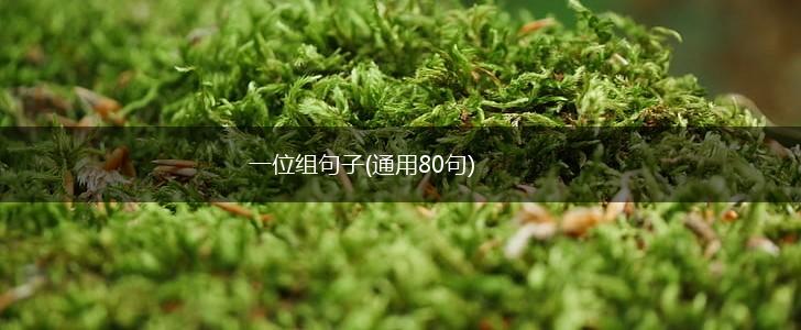 一位组句子(通用80句),第1张
