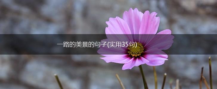 一路的美景的句子(实用35句),第1张