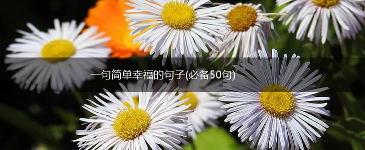 一句简单幸福的句子(必备50句),第1张
