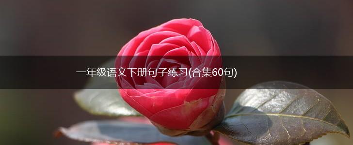 一年级语文下册句子练习(合集60句),第1张