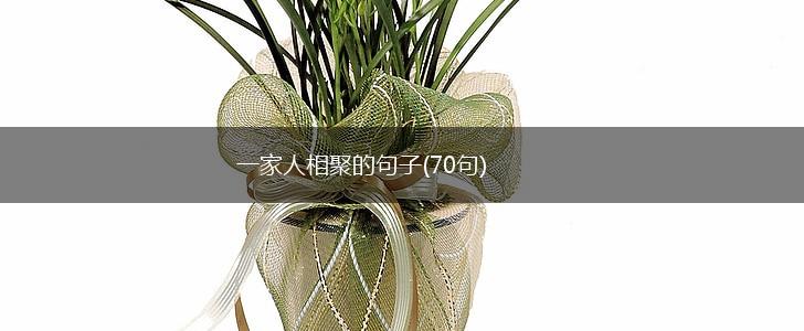 一家人相聚的句子(70句),第1张