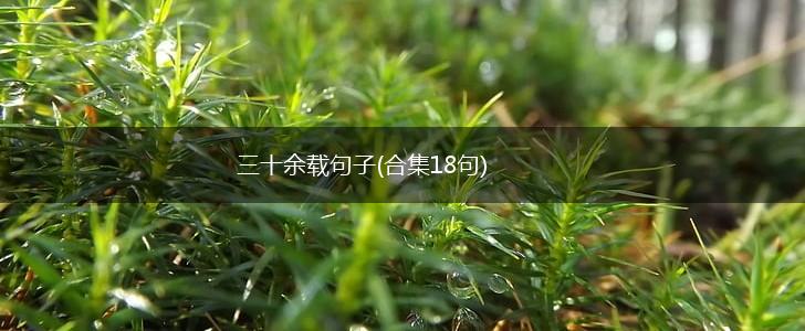 三十余载句子(合集18句),第1张