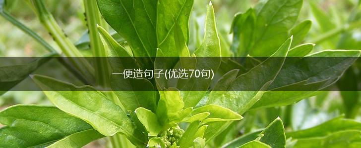 一便造句子(优选70句),第1张