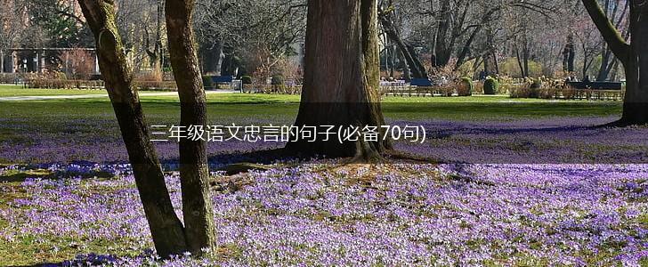 三年级语文忠言的句子(必备70句),第1张