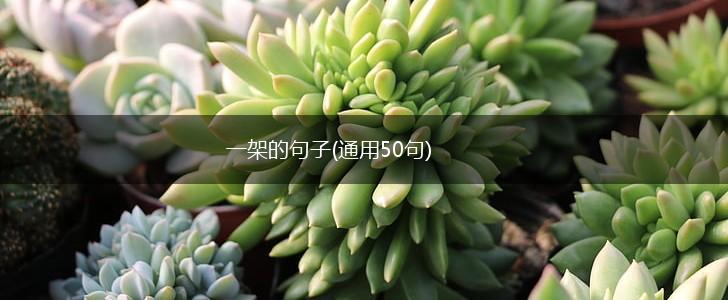 一架的句子(通用50句),第1张