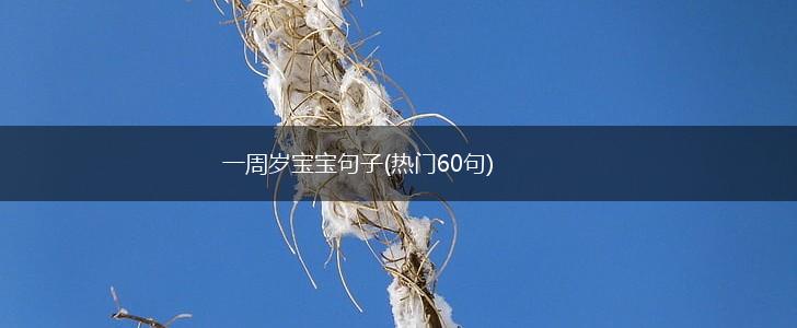 一周岁宝宝句子(热门60句),第1张