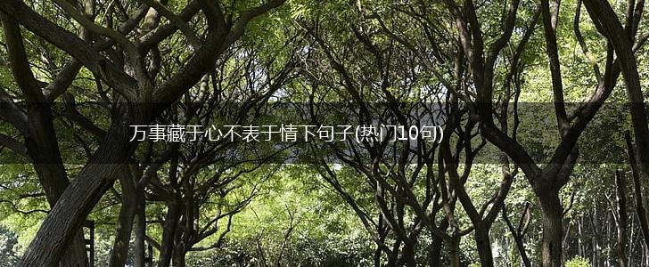万事藏于心不表于情下句子(热门10句),第1张