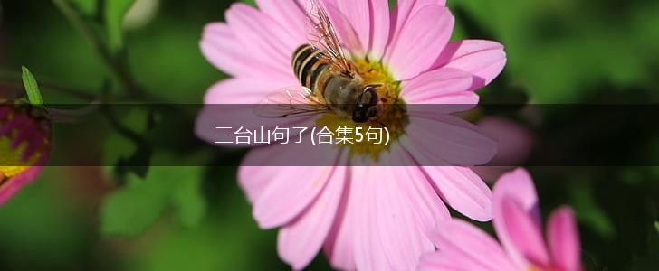 三台山句子(合集5句),第1张