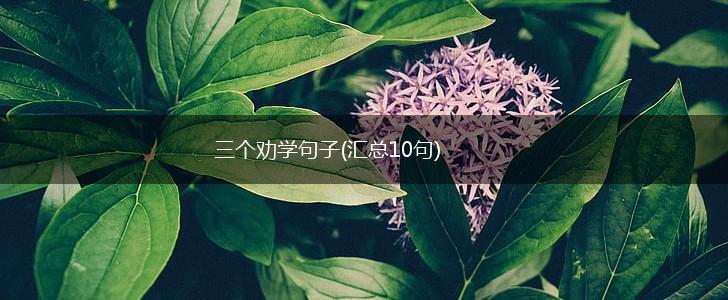 三个劝学句子(汇总10句),第1张