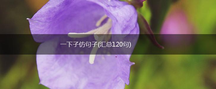 一下子仿句子(汇总120句),第1张