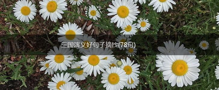三国演义好句子摘抄(78句),第1张