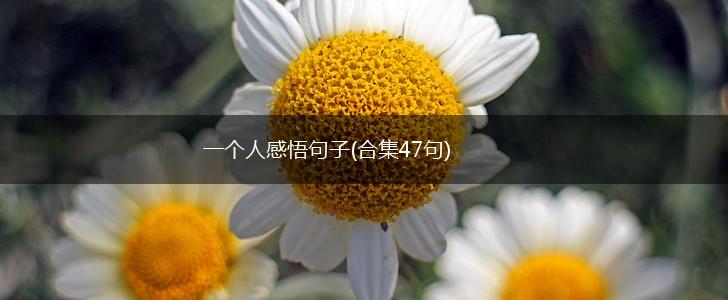 一个人感悟句子(合集47句),第1张