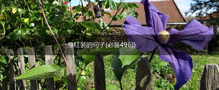 一身红装的句子(必备49句),第1张