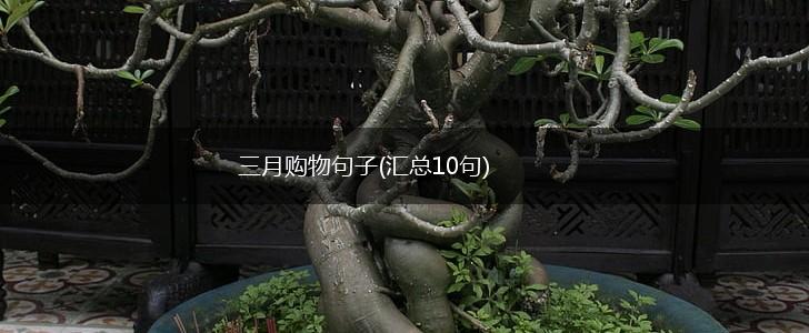 三月购物句子(汇总10句),第1张