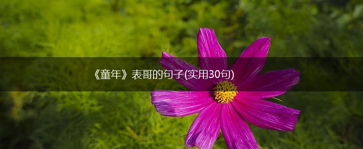 《童年》表哥的句子(实用30句),第1张