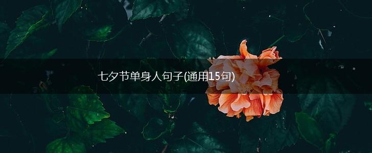 七夕节单身人句子(通用15句),第1张