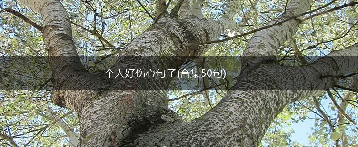 一个人好伤心句子(合集50句),第1张