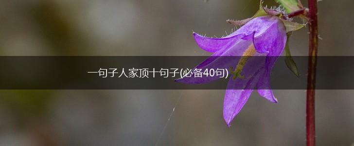 一句子人家顶十句子(必备40句),第1张