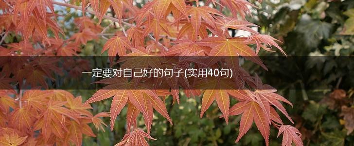一定要对自己好的句子(实用40句),第1张
