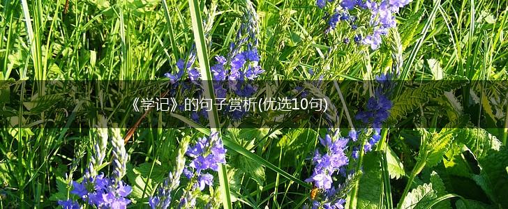 《学记》的句子赏析(优选10句),第1张