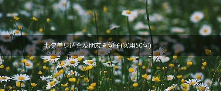 七夕单身适合发朋友圈句子(实用50句),第1张