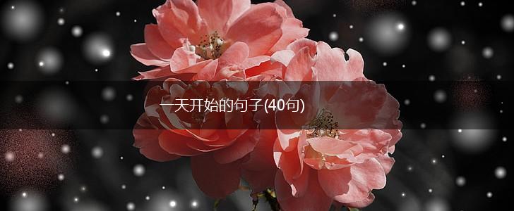 一天开始的句子(40句),第1张