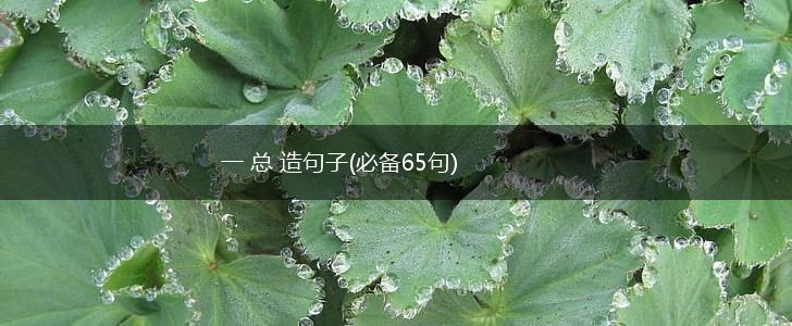 一 总 造句子(必备65句),第1张