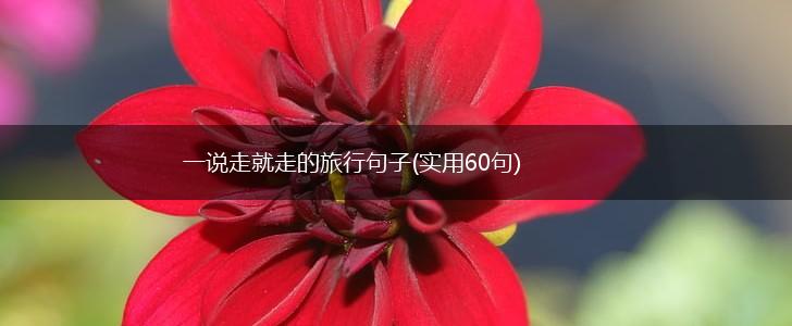 一说走就走的旅行句子(实用60句),第1张