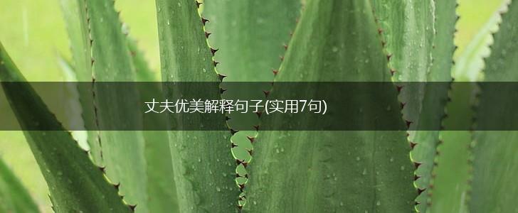 丈夫优美解释句子(实用7句),第1张
