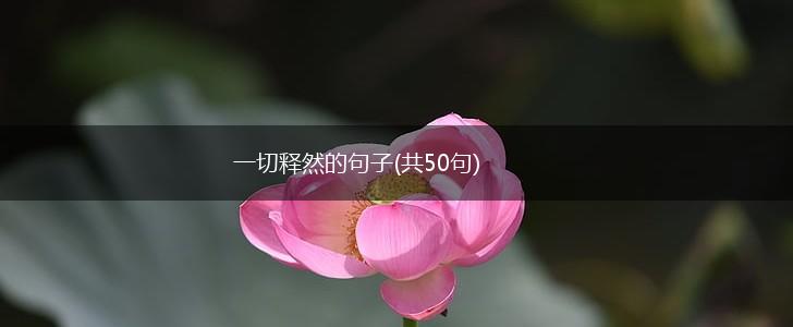 一切释然的句子(共50句),第1张
