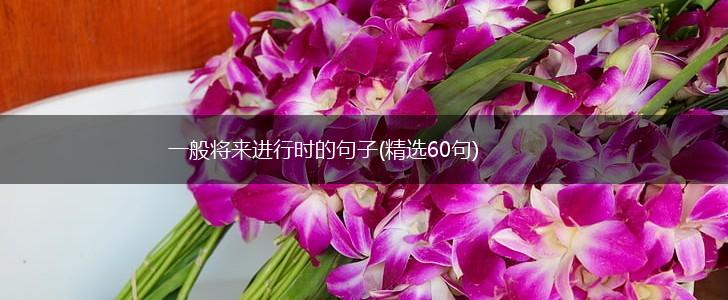 一般将来进行时的句子(精选60句),第1张
