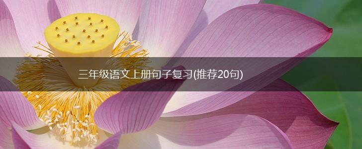 三年级语文上册句子复习(推荐20句),第1张