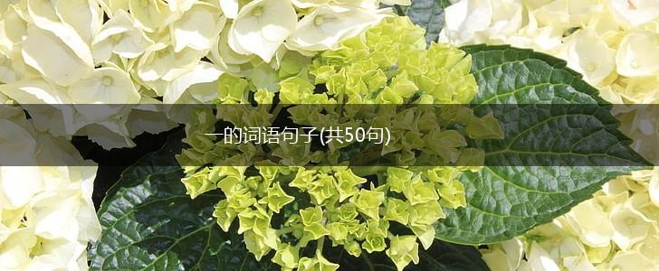 一的词语句子(共50句),第1张