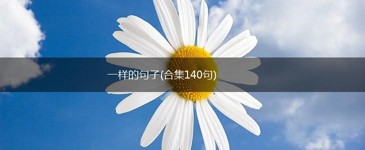 一样的句子(合集140句),第1张