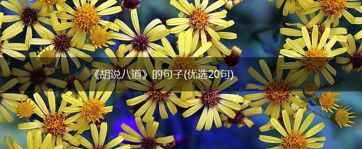 《胡说八道》的句子(优选20句),第1张