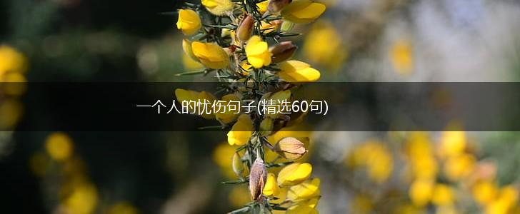 一个人的忧伤句子(精选60句),第1张