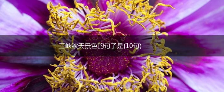 三峡秋天景色的句子是(10句),第1张