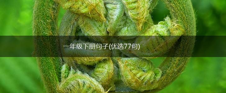 一年级下册句子(优选77句),第1张