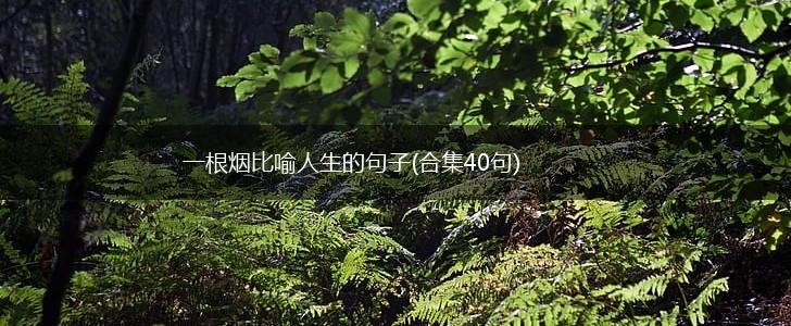 一根烟比喻人生的句子(合集40句),第1张