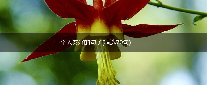 一个人安好的句子(精选70句),第1张